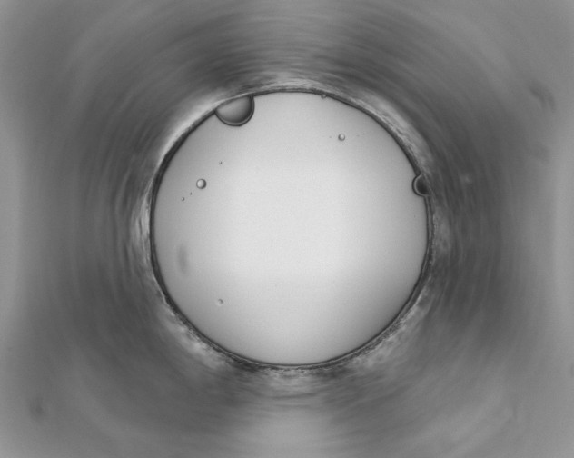 X0000112181198200908281355