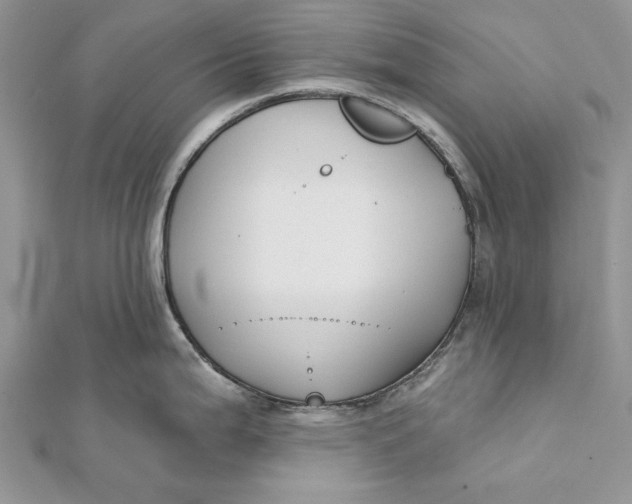 X0000112181199200908281355