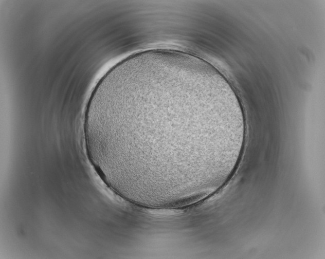 X0000112181200200908281355