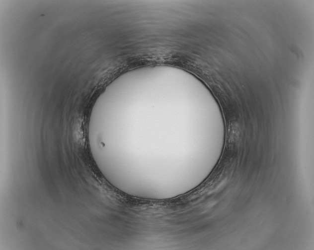 X0000112181202200908281354