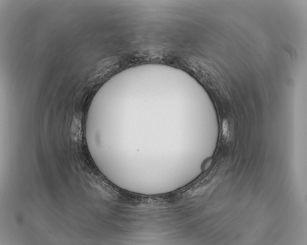 X0000112181203200908281354