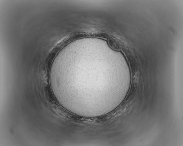 X0000112181205200908281354