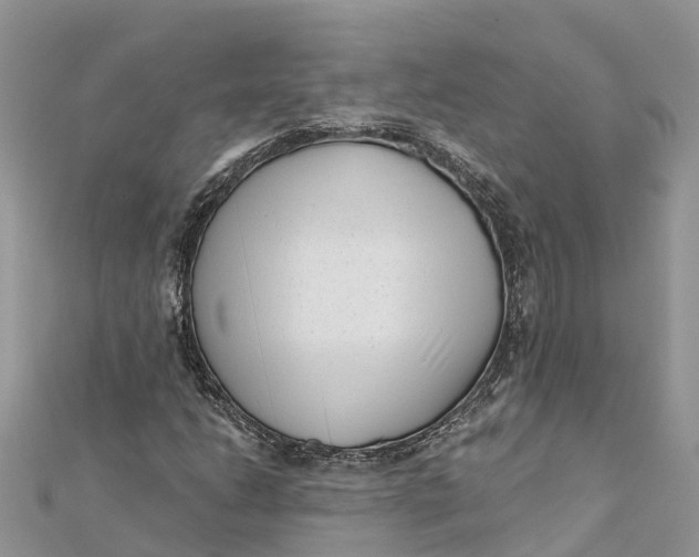 X0000112181206200908281354