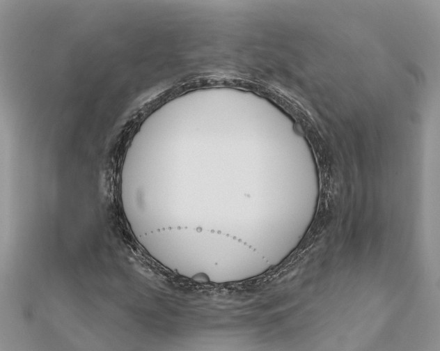 X0000112181207200908281354