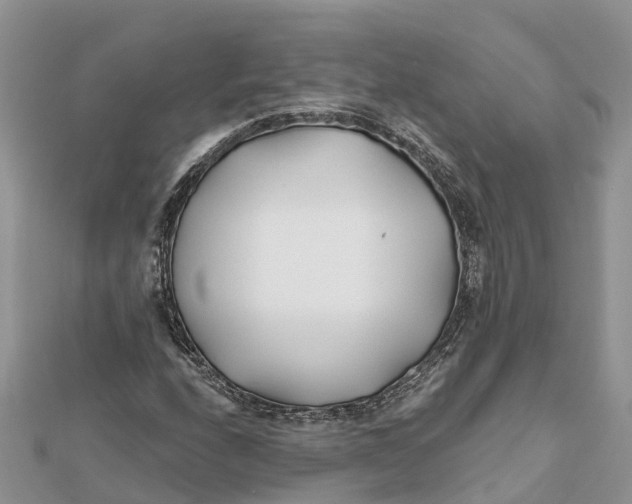 X0000112181208200908281354