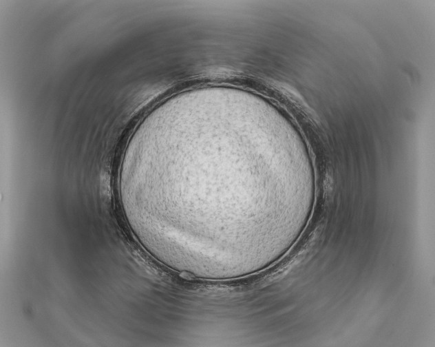 X0000112181209200908281354