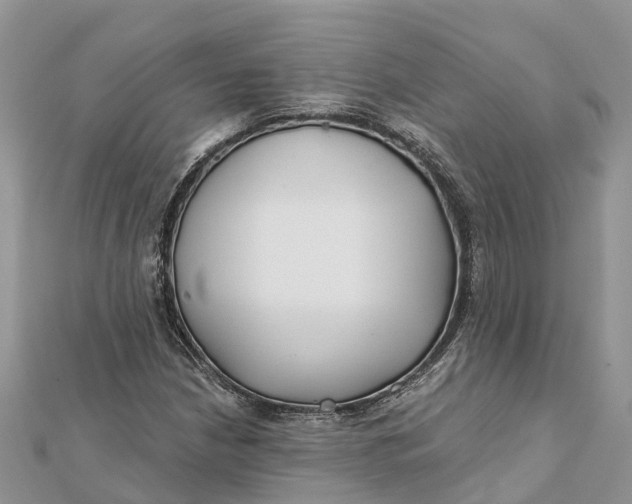 X0000112181210200908281354