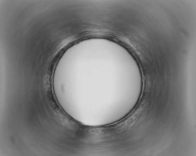 X0000112181211200908281354