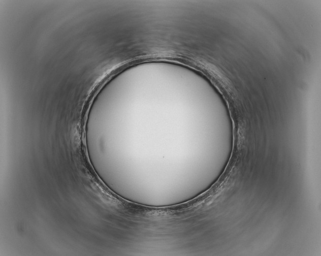 X0000112181212200908281354