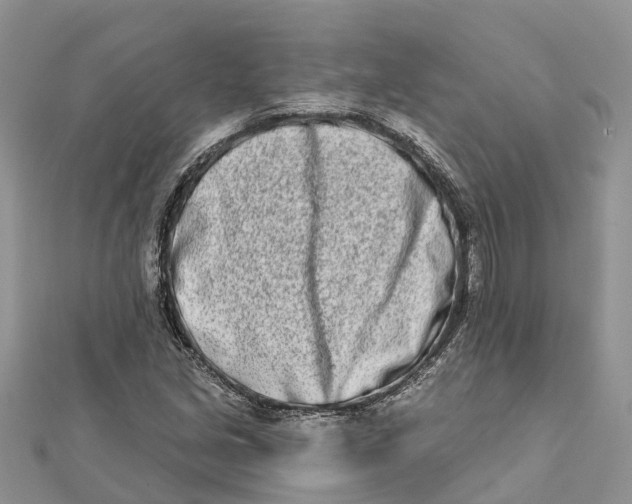 X0000112181213200908281354