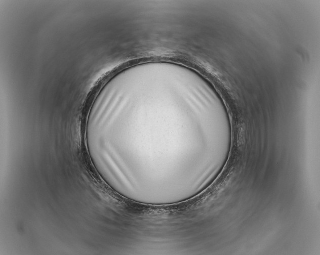 X0000112181214200908281354