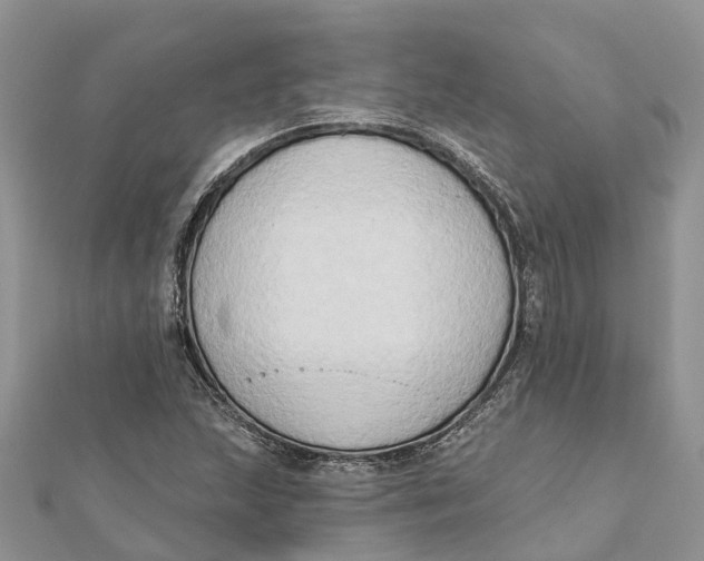 X0000112181215200908281354