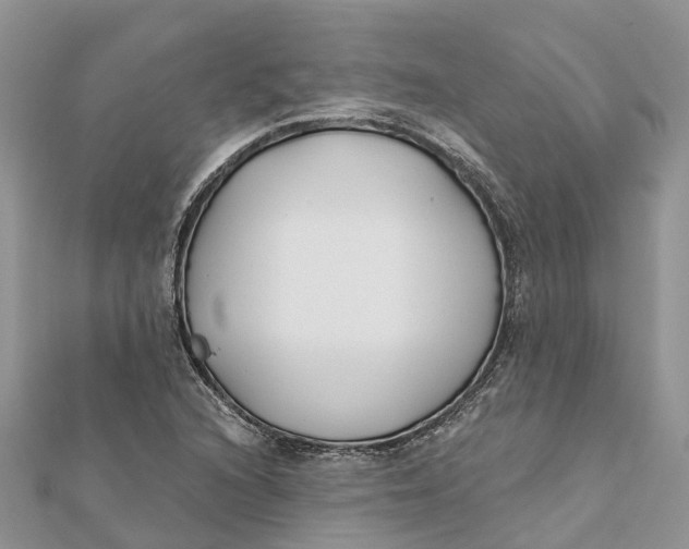 X0000112181216200908281354