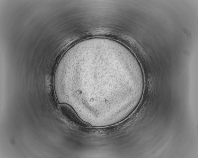 X0000112181217200908281354