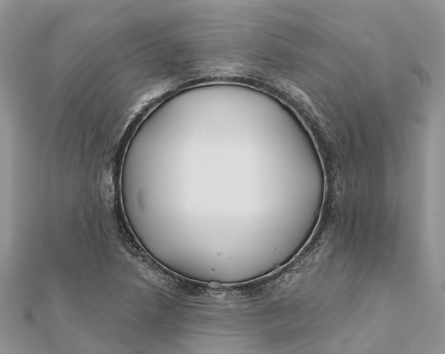 X0000112181218200908281354