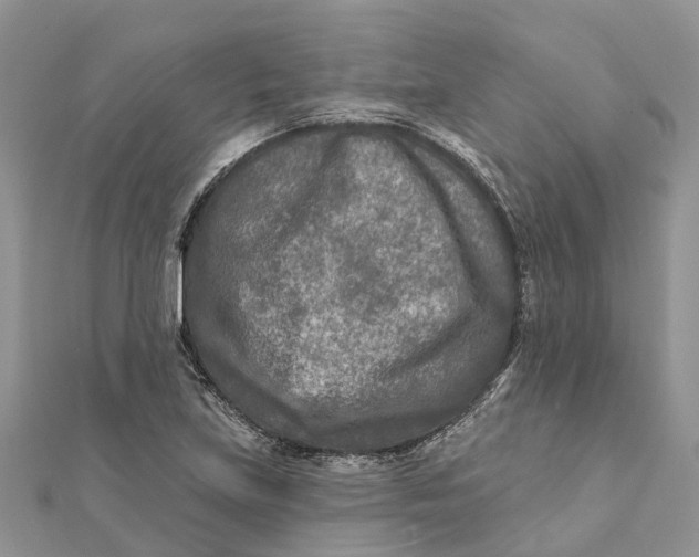 X0000112181219200908281354