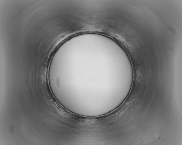 X0000112181220200908281354