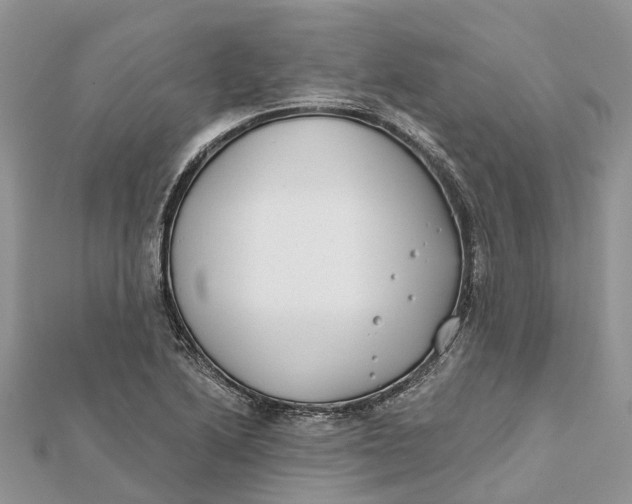 X0000112181222200908281354