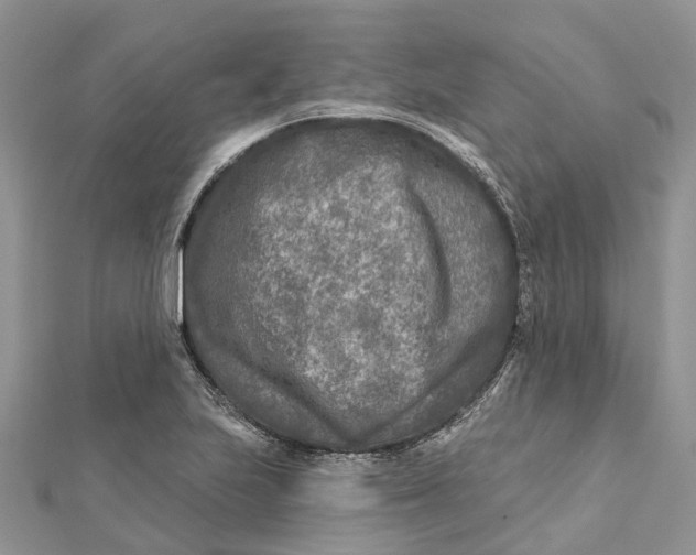 X0000112181223200908281354