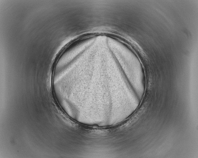 X0000112181224200908281354