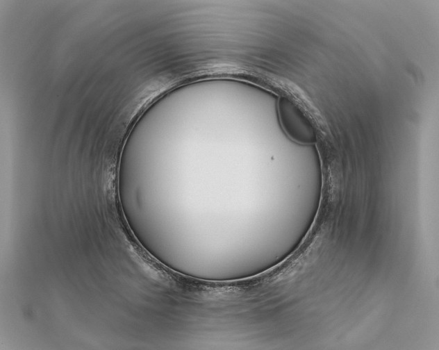 X0000112181225200908281354