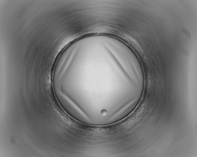 X0000112181226200908281354