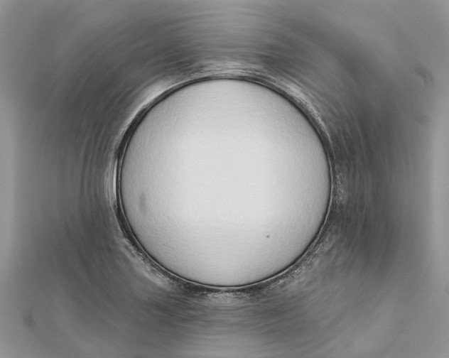 X0000112181227200908281354