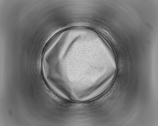 X0000112181228200908281354