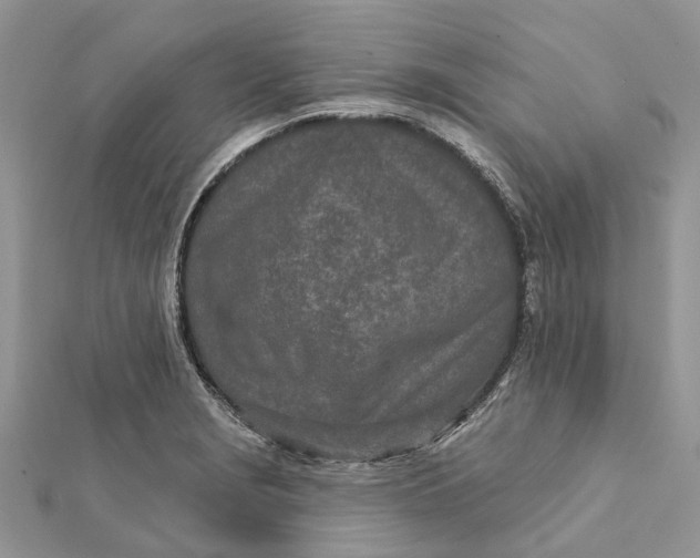 X0000112181229200908281354