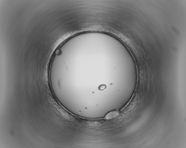 X0000112181230200908281354