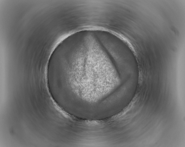 X0000112181231200908281354