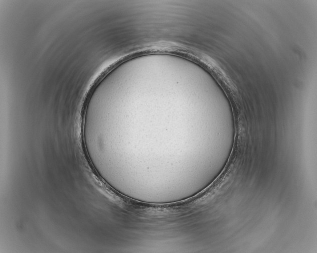 X0000112181232200908281354