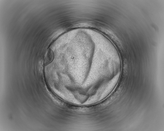 X0000112181233200908281354