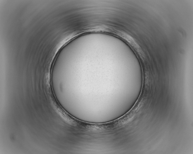 X0000112181234200908281354