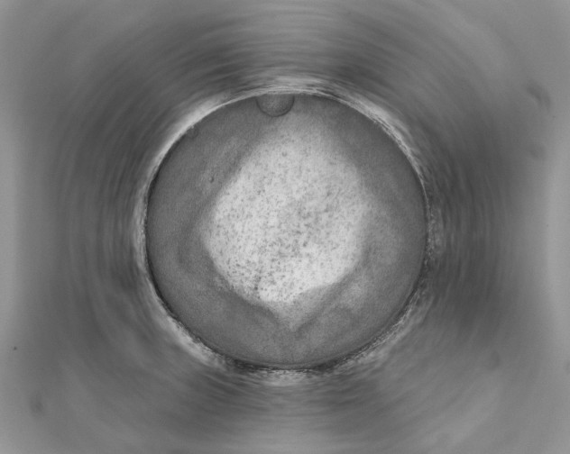 X0000112181235200908281354