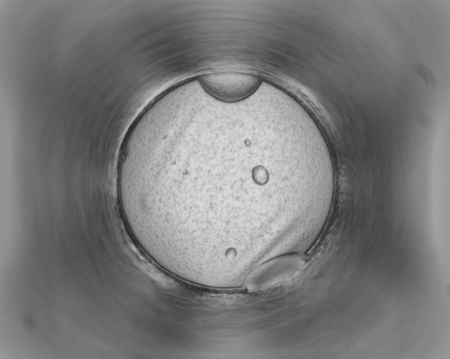 X0000112181236200908281354