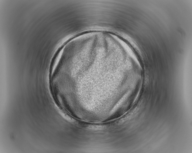 X0000112181237200908281354