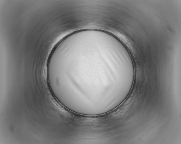 X0000112181238200908281354