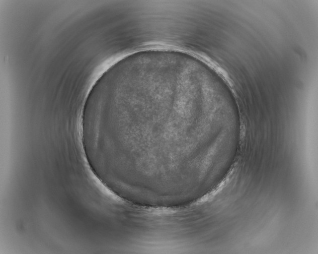 X0000112181239200908281354