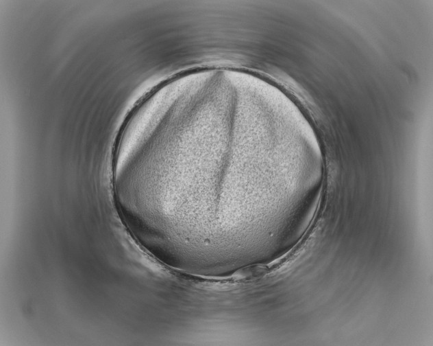 X0000112181240200908281354