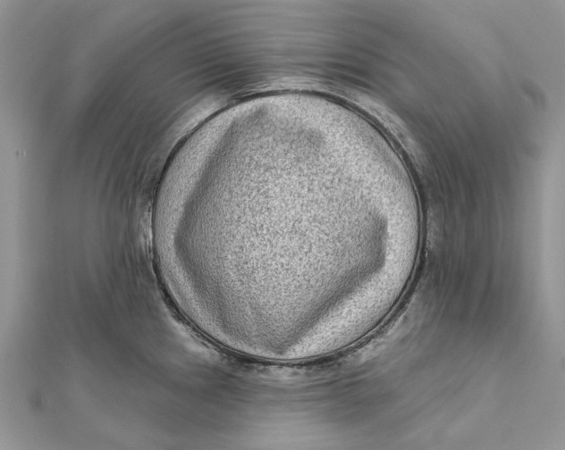 X0000112181241200908281354