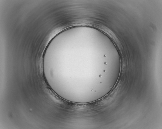 X0000112181242200908281354