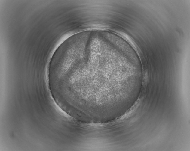 X0000112181243200908281354