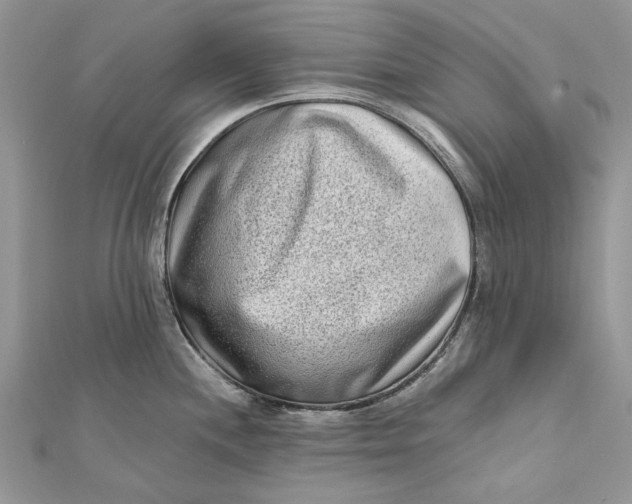 X0000112181244200908281354