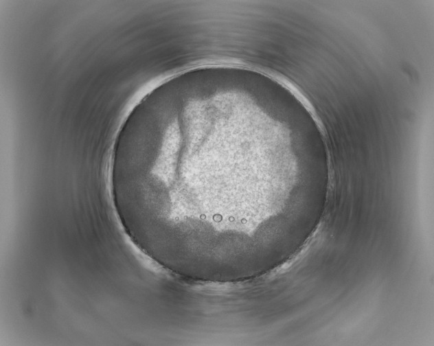 X0000112181245200908281354