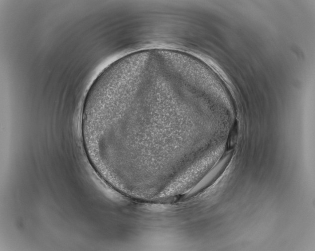 X0000112181246200908281354