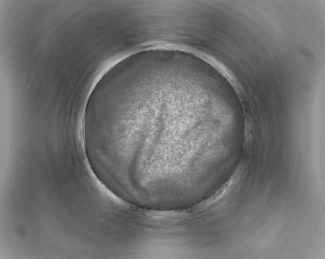 X0000112181247200908281354