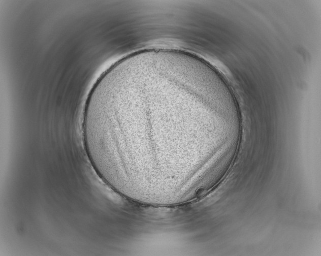 X0000112181248200908281354