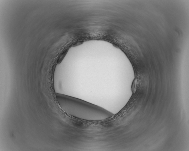 X0000112181249200908281354