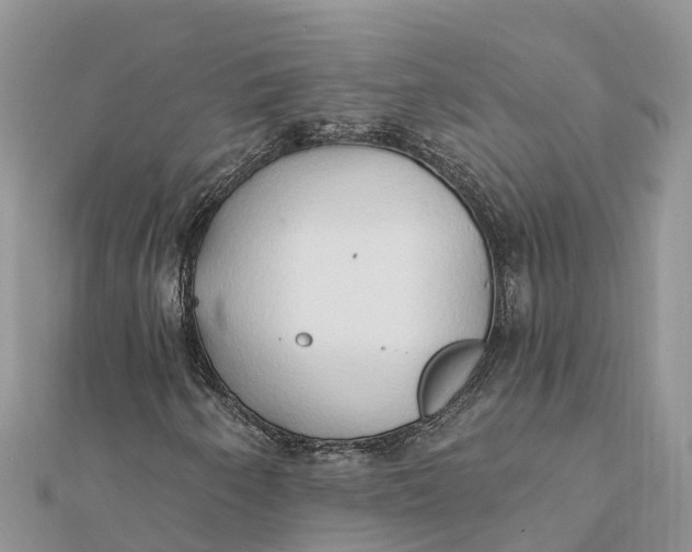 X0000112181250200908281354